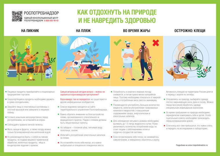 Как одеваться в лес.