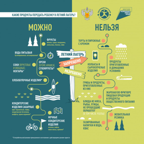 Какие продукты можно передать ребенку в летний лагерь?.